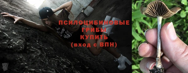 прущие грибы Медвежьегорск